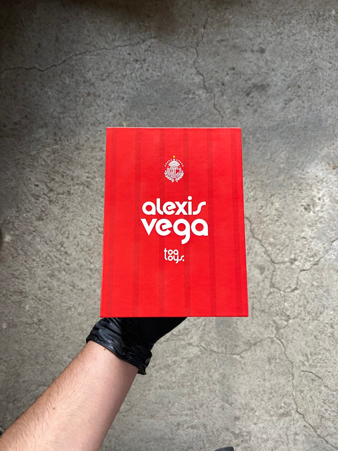 Toa Toy de Alexis Vega