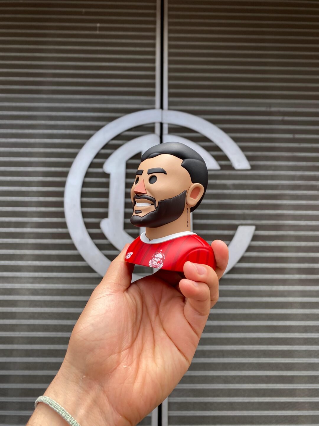 Toa Toy de Alexis Vega